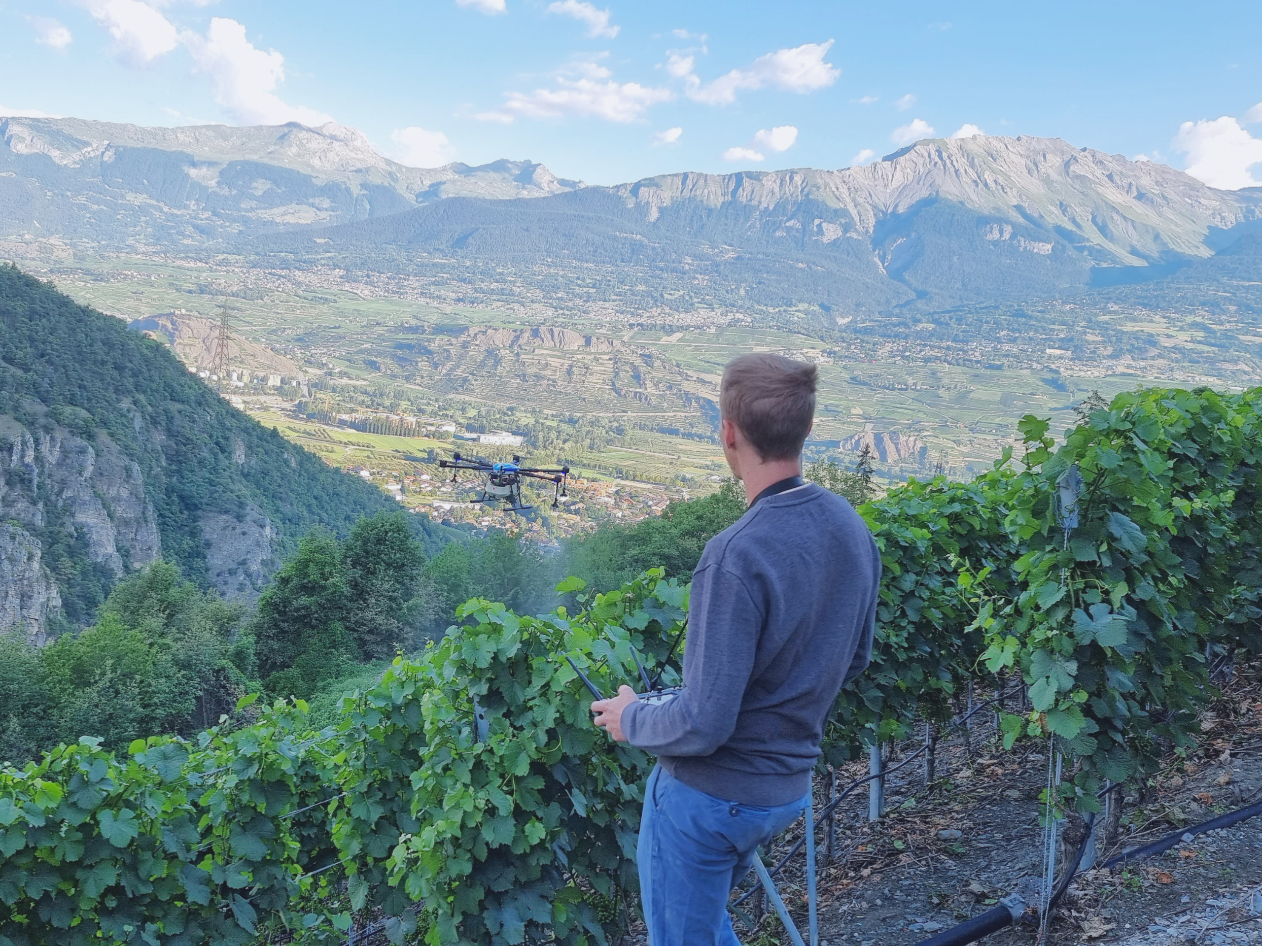 un homme qui télépilote un drone d'épandage aero41 dans un vignoble entouré par des montagnes